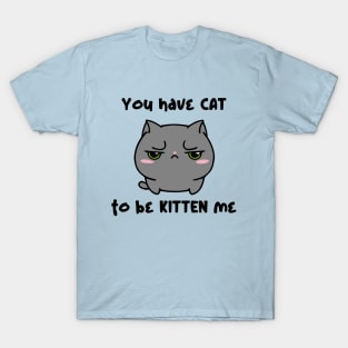 You Have Cat To Be Kitten Me T-Shirt